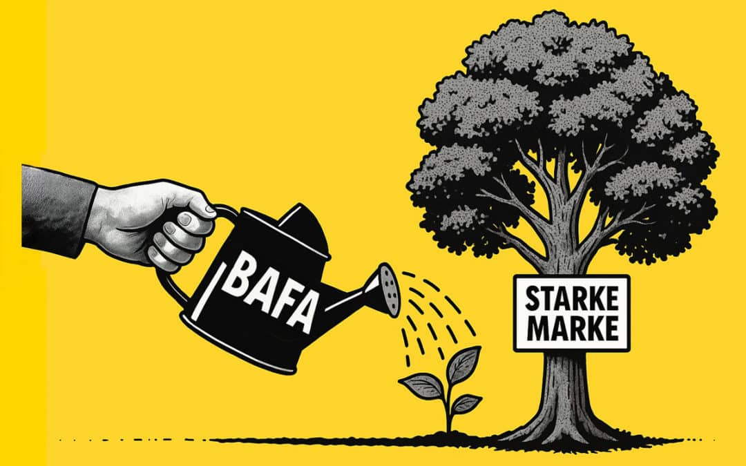 BAFA-Förderung für Marketingberatung 2025-2026