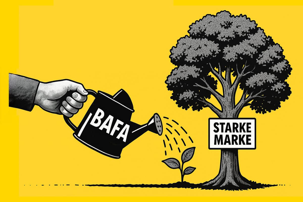 BAFA-Förderung für Marketingberatung 2025-2026